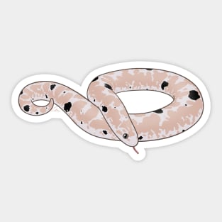 Snow Paradox Kenyan Sand Boa Sticker